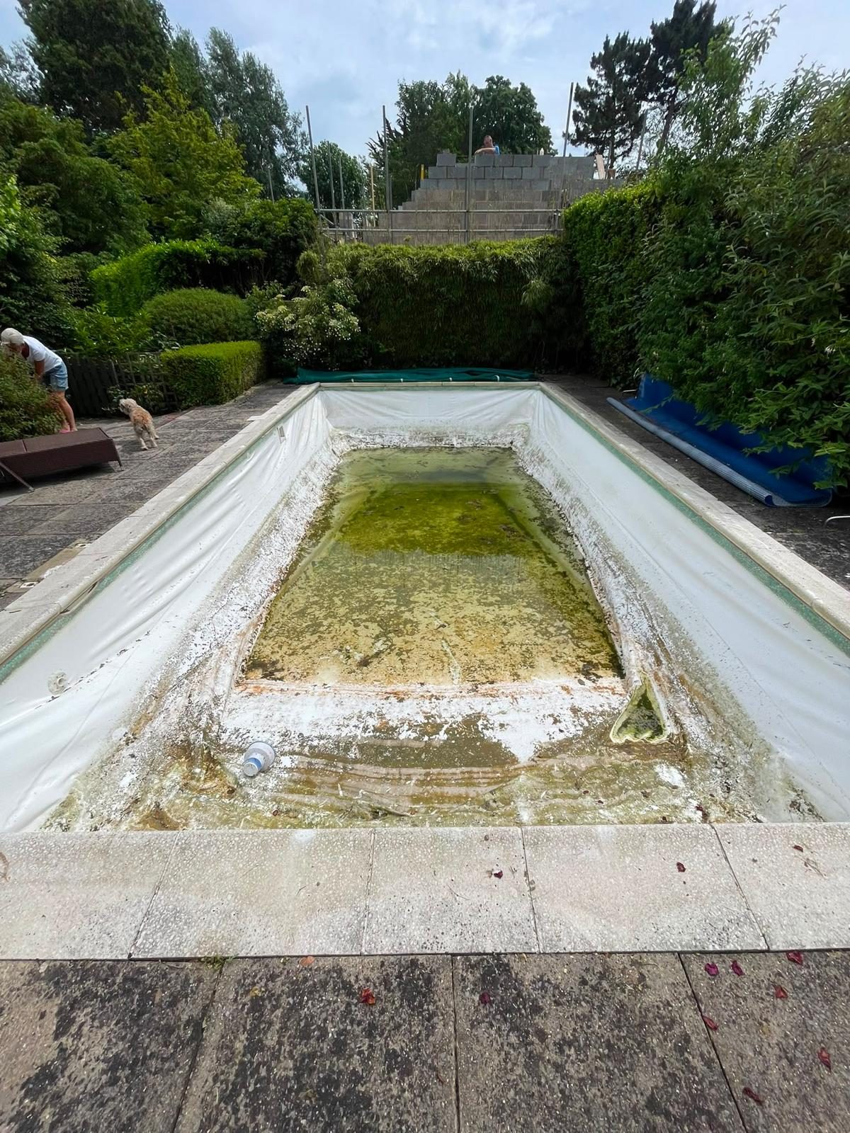 Neglected rectangular pool with a damaged liner before renovation